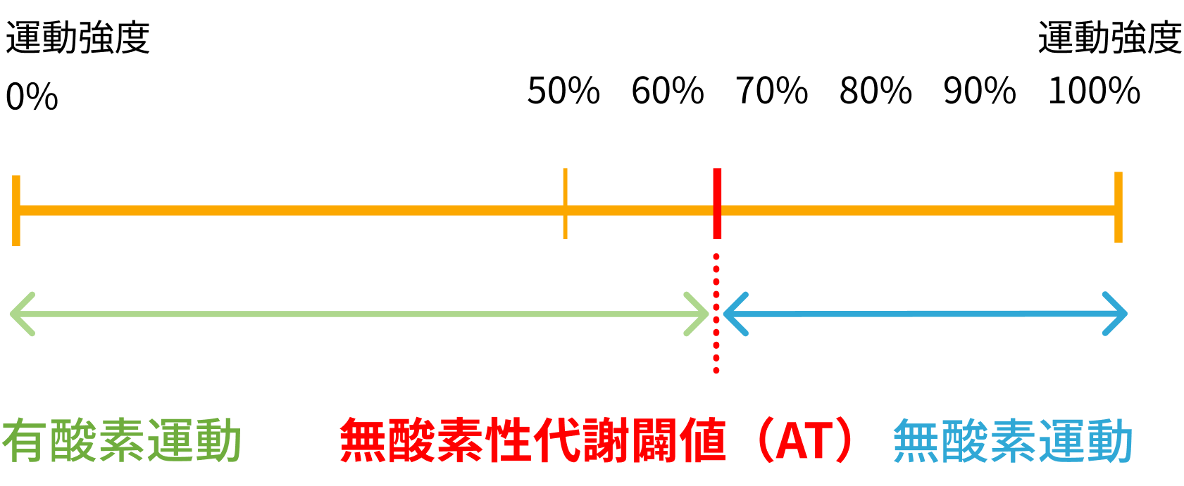 運動強度：有酸素運動と無酸素運動の区別
