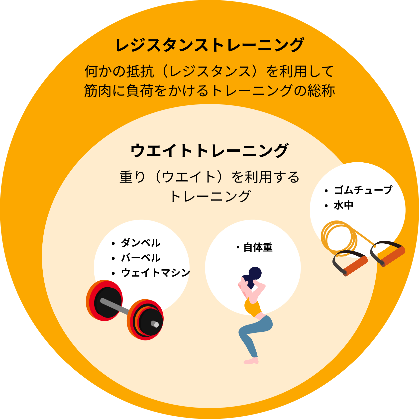 トレーニングの結果グラフ