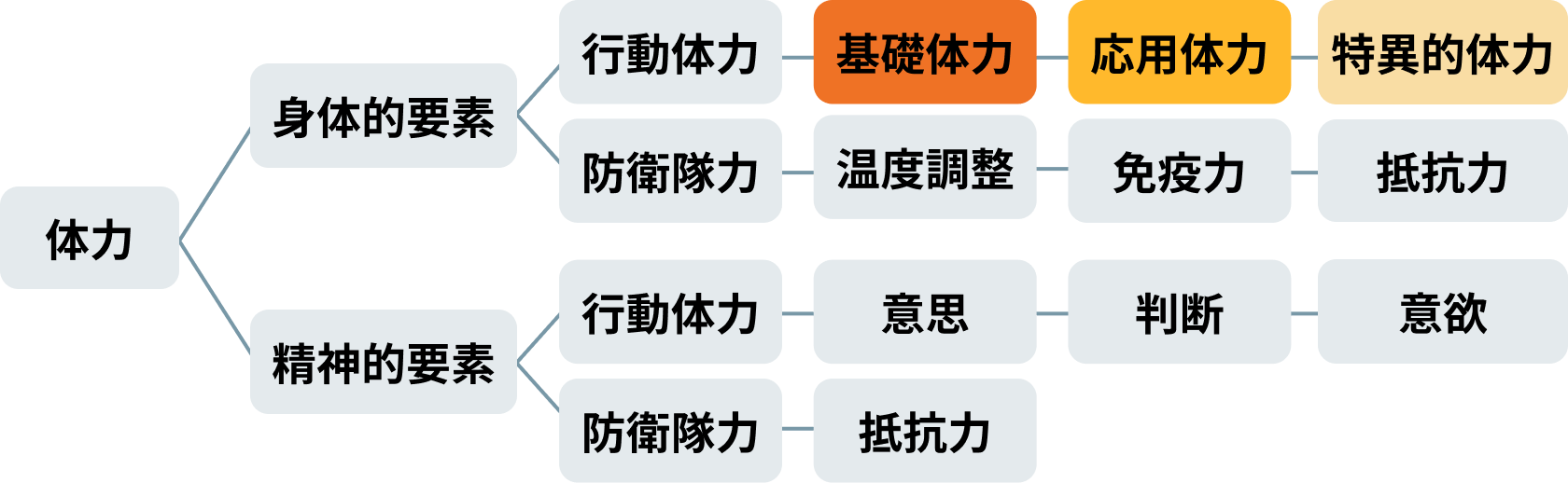 体力確認表
