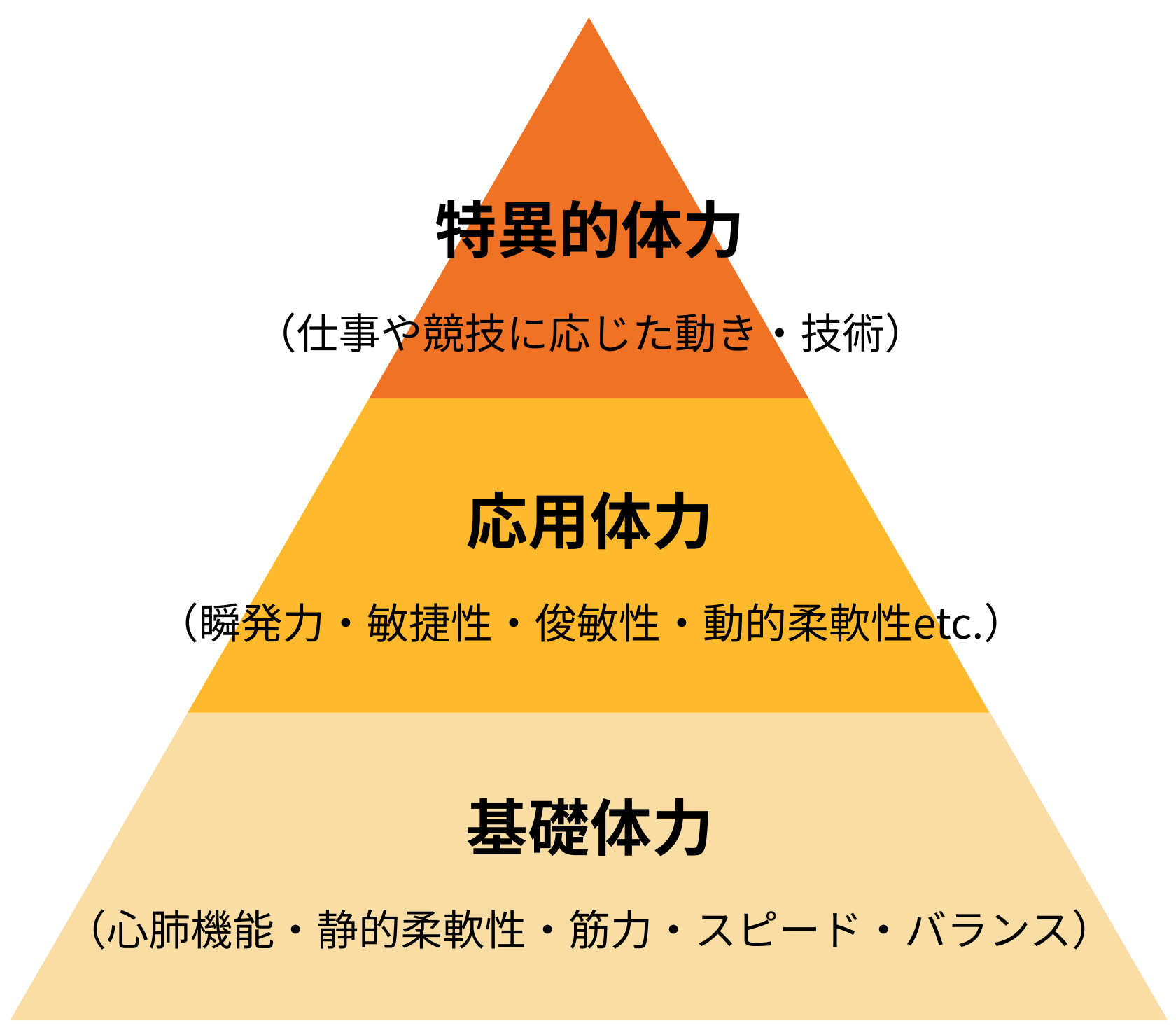 身体的要素:行動体力確認表