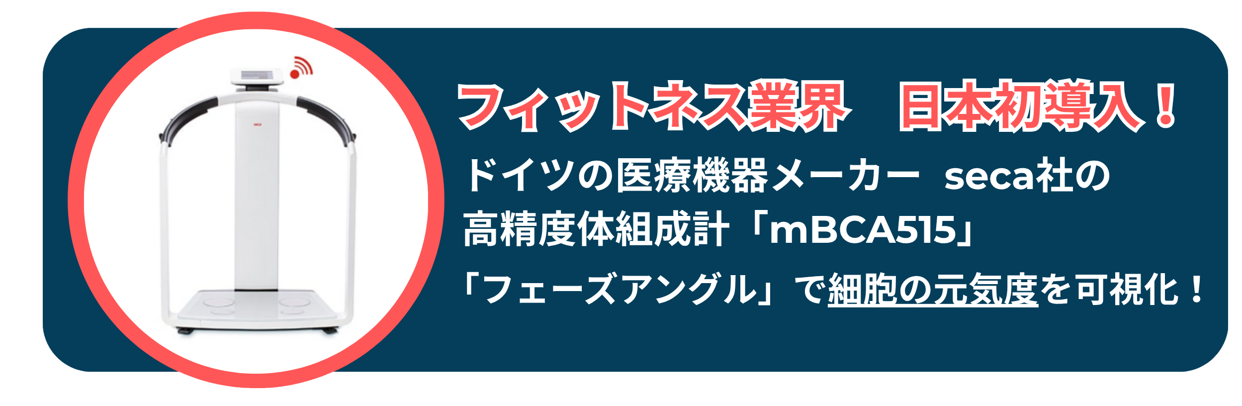 トレーニングスペース